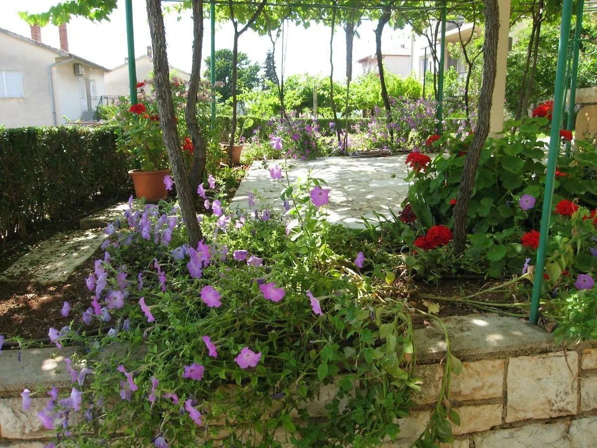 Apartment Franjo بولا